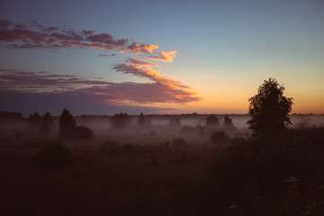 Noised Fantastic Sunset field fog landscape. Foggy field sunset panorama