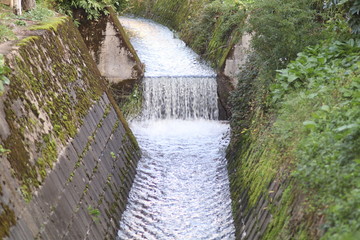 小川のせせらぎ