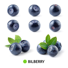 Bilberry. Bilberries isolated. Bilberry on white. Bilberries with leaves. Blueberry.