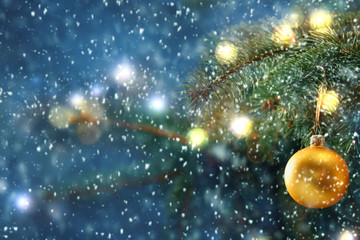 Fototapeta na wymiar Christmas tree background and free space for your decoration 