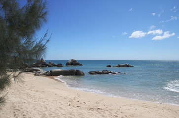 seashore with sandy beach