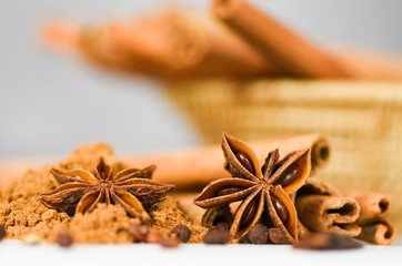 Cinnamon sticks and Star Anise on cinnamon powder herbs and spices on white