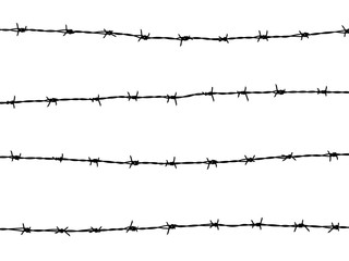 barbed wire of fence on white background