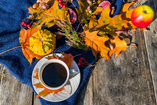 Colorful maple and oak leaves, decorative pumpkin and cup of coffee on background of wooden table in a resting area of public nature park. Image depicts relaxing atmosphere at sunny autumnal day