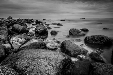 landscape and wildlife and city