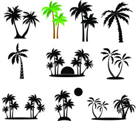 Palm tree  set , transparent background