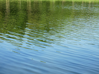 abstract reflection of spring tree on water in the pond