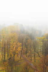 Fototapeta premium Autumn park in fog. Top view. Isolated on white. Fall landscape.