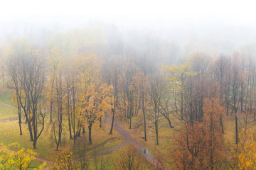 Fototapeta premium Autumn park in fog. Top view. Isolated on white. Fall landscape.