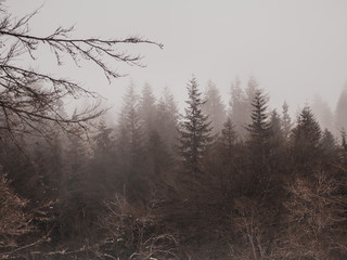 La niebla en Bizkaia