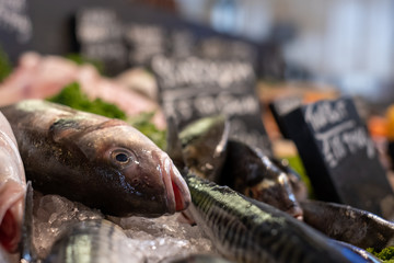 Fish for sale at Canterbury farmers market, Kent UK