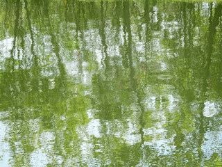 abstract reflection of spring tree on water in the pond