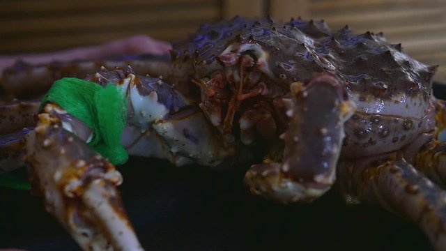 Someone's hand is holding a giant fiddler crab on a plate in a reastaurant. An exotic seafood cooking concept.