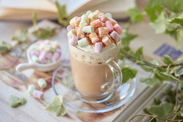 Cocoa with whipped cream and marshmallows