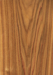 Natural wooden texture background. Arariba wood.