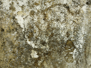 mold on concrete wall texture