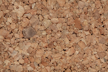  fine wood texture. Cork tree.