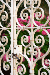 un portail en fer forgé et des fleurs