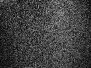 Fototapeta premium rain on black background