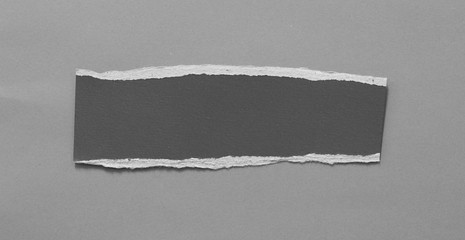 torn paper on gray background with copy space for text