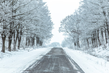 Rural asphalt road with trees covered up in hoar frost.