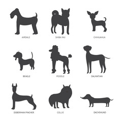 Silhouettes of dog breeds and pets, airedale and collie, beagle and poodle.