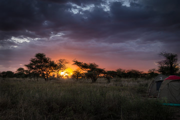 Fototapeta na wymiar Camping overnight in tents in savanna Serengeti camp during safari expedition. sunset with stunning colors