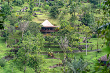 Balinese houses with view at tropical rain forest and mountain, Bali, Indonesia