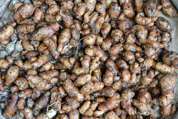Ginger root for sell at the street market in Ubud, island Bali, Indonesia. Closeup