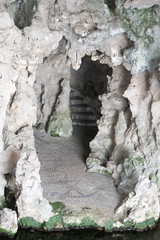 cave ruins of Majolan Park Blanquefort near Bordeaux France