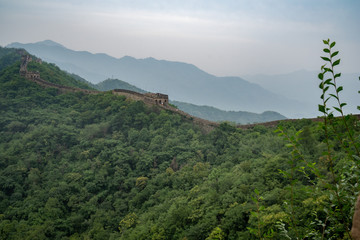 Great Wall of China with a green trees in a background.