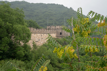 Great Wall of China with a green trees in a background.