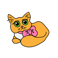 Cute cat illustration