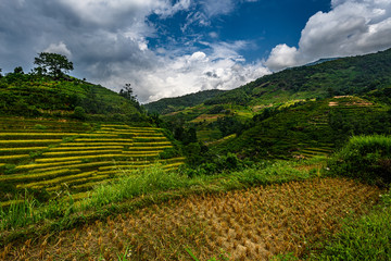 Fototapeta na wymiar Mu Cang Chai, landscape terraced rice field near Sapa, northern Vietnam