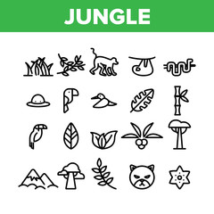 Jungle Forest Collection Elements Icons Set Vector Thin Line. Jungle Animal And Plants, Monkey And Snake, Parrot And Wild Cat Concept Linear Pictograms. Wildlife Monochrome Contour Illustrations