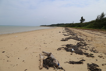  トゥマールビーチ