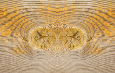 Wood texture