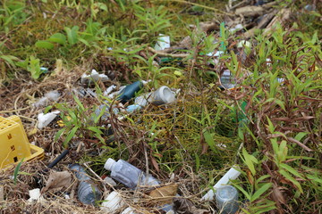 トゥマールビーチ　海洋ごみ