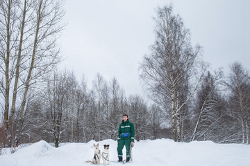 Two dogs walk outdoors in winter with an owner