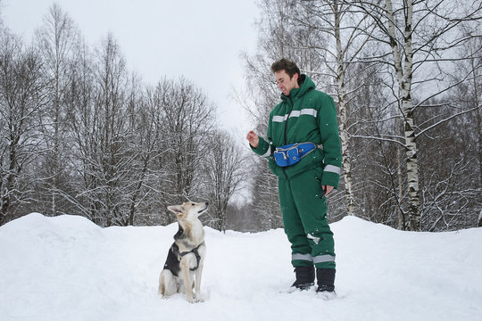 Two dogs walk outdoors in winter with an owner