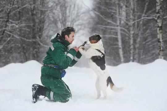 Two dogs walk outdoors in winter with an owner