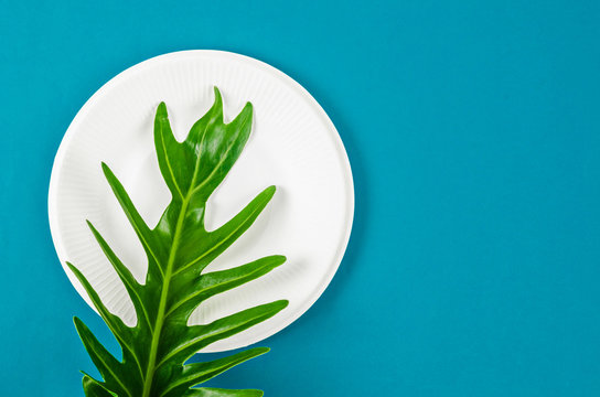 Biodegradable dish dispoable and green leave.