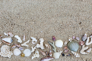 Seashells and corals border on sand background.