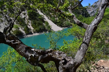 Gorges du Verdon