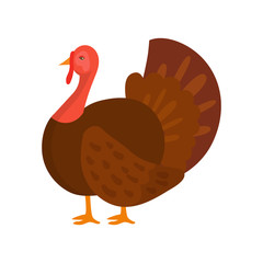 Turkey flat vector illustration