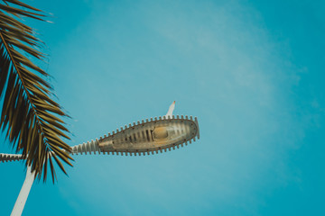 Head of streetlight, decorated with real palm leaf and funny head of white gull, view from below. Blue sky background, flat lay.