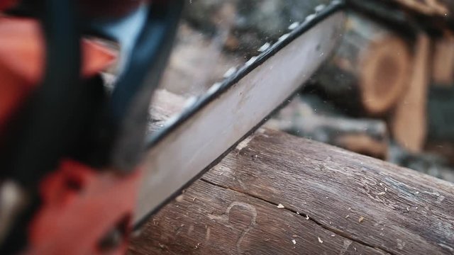 Chainsaw cutting log closeup, slow motion shot. Sawing wood with a chainsaw