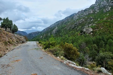Fototapeta na wymiar Corsica-road in pass Restonica