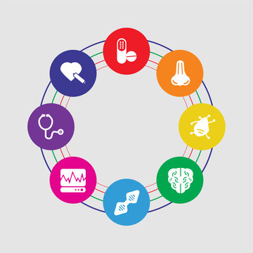 8 colorful round icons set included heart, stethoscope, cardiogram, dna, brain, virus, nose, antibiotic