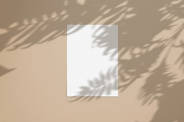 Blank white vertical paper sheet 5x7 with palm shadow overlay. Modern and stylish greeting card or wedding invitation mock up